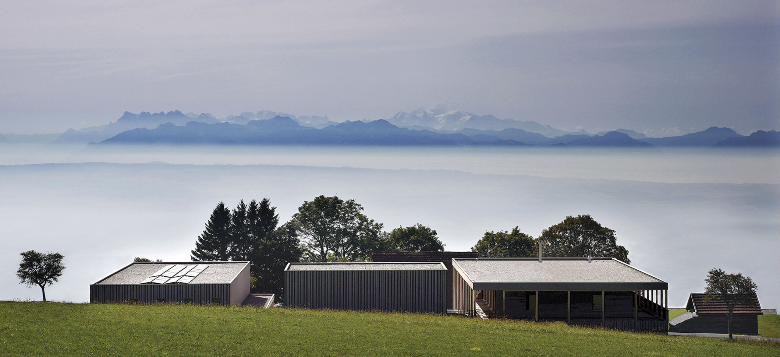 Le choix que personne n&rsquo;aurait fait