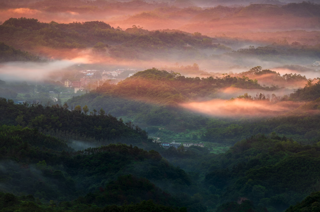 Une question pour vous (ça me tient à cœur)